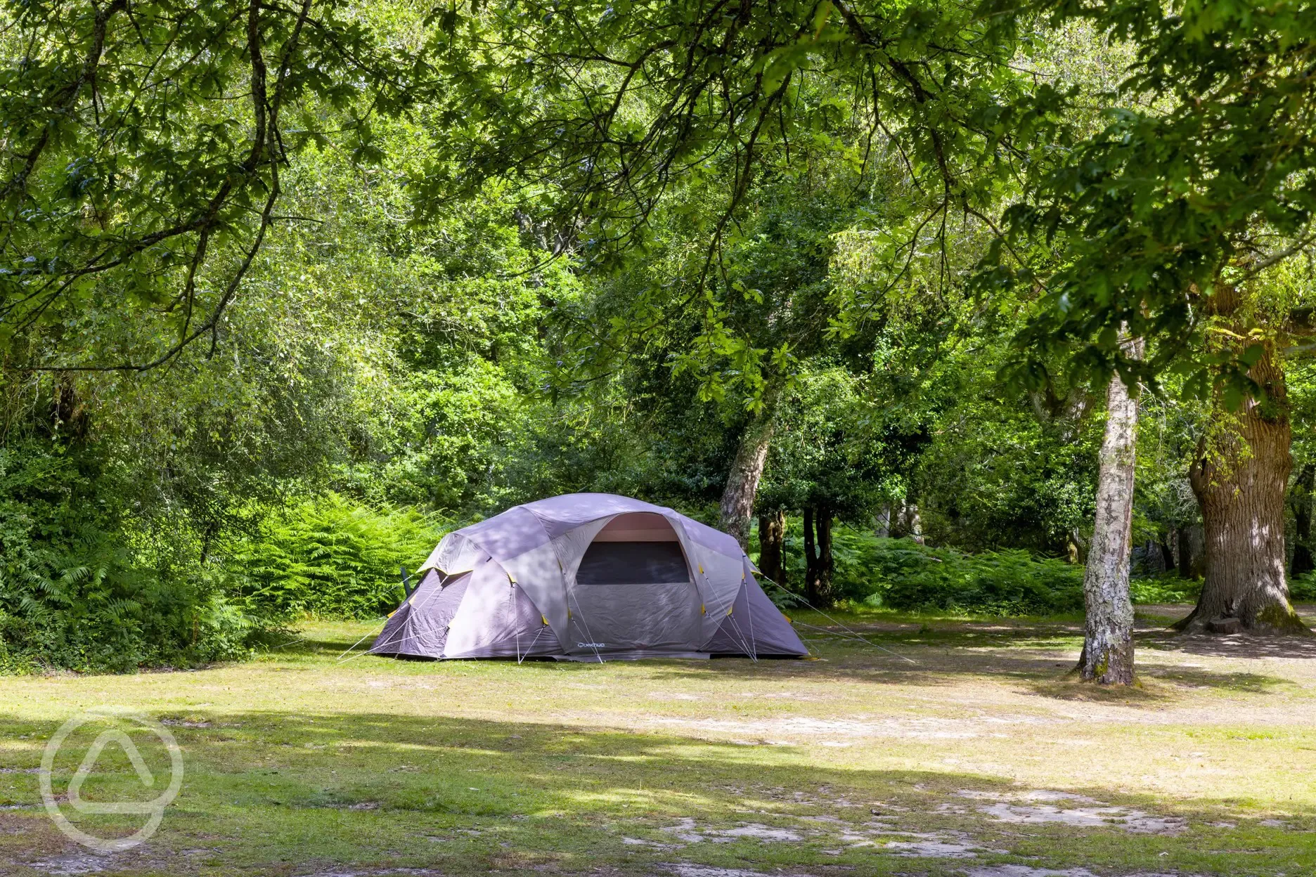 Non electric grass pitch, pitch where you'd like to, as long as you are 6m away