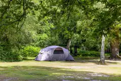 Non electric grass pitch, pitch where you'd like to, as long as you are 6m away Non electric grass pitch, pitch where you'd like to, as long as you are 6m away