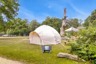 Hollands Wood Campsite, Brockenhurst, Hampshire