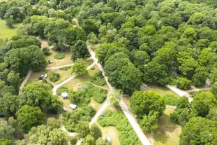 Hollands Wood Campsite, Brockenhurst, Hampshire