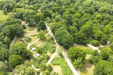 Hollands Wood Campsite