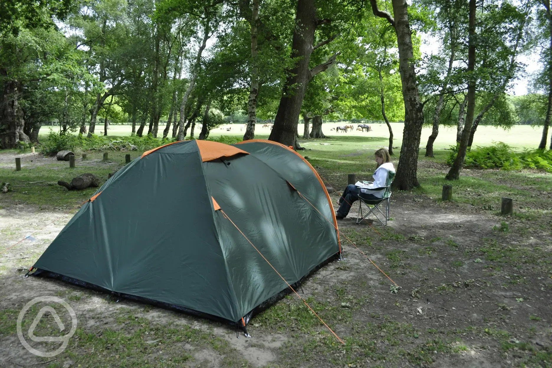 Hollands Wood Campsite