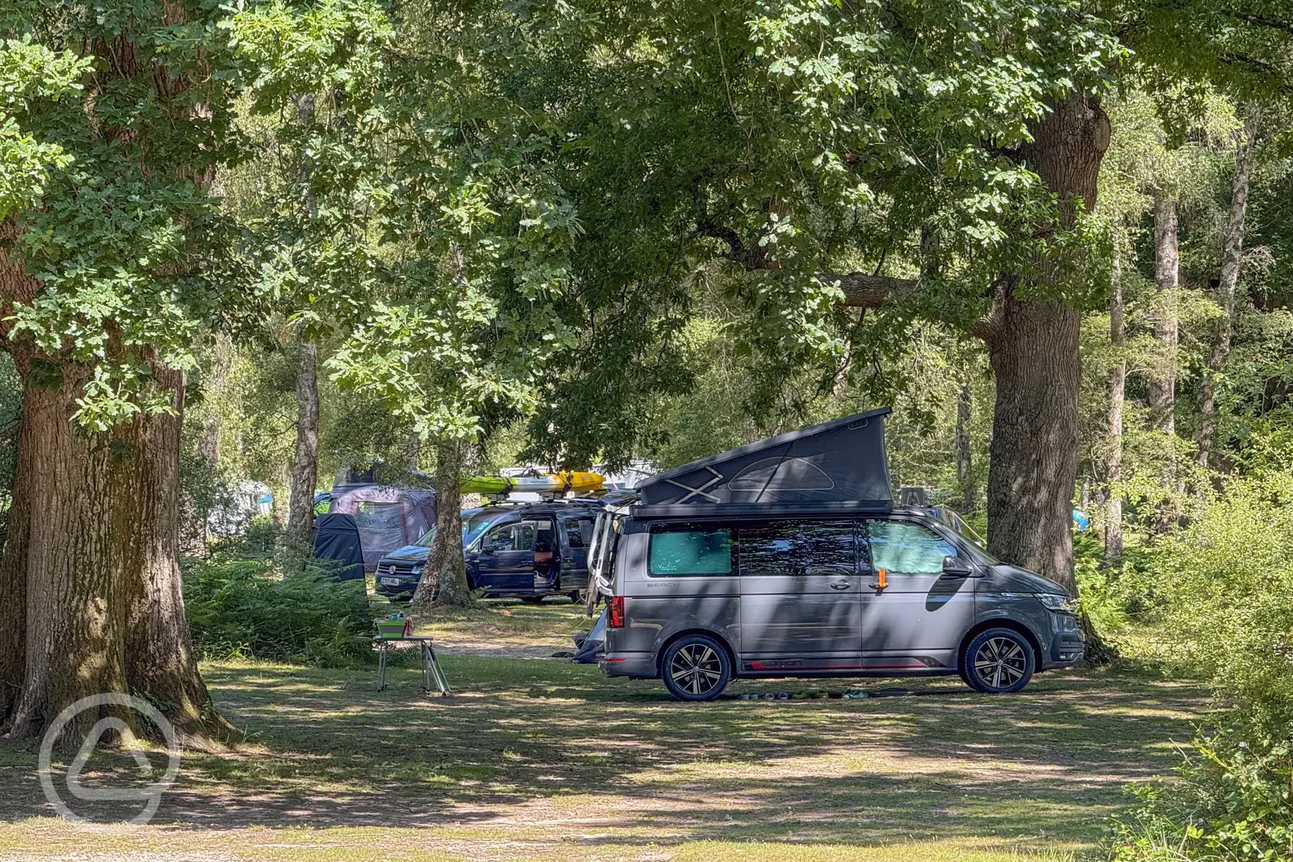 Non electric grass pitch surrounded by trees