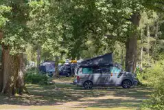 Non electric grass pitch surrounded by trees Non electric grass pitch surrounded by trees