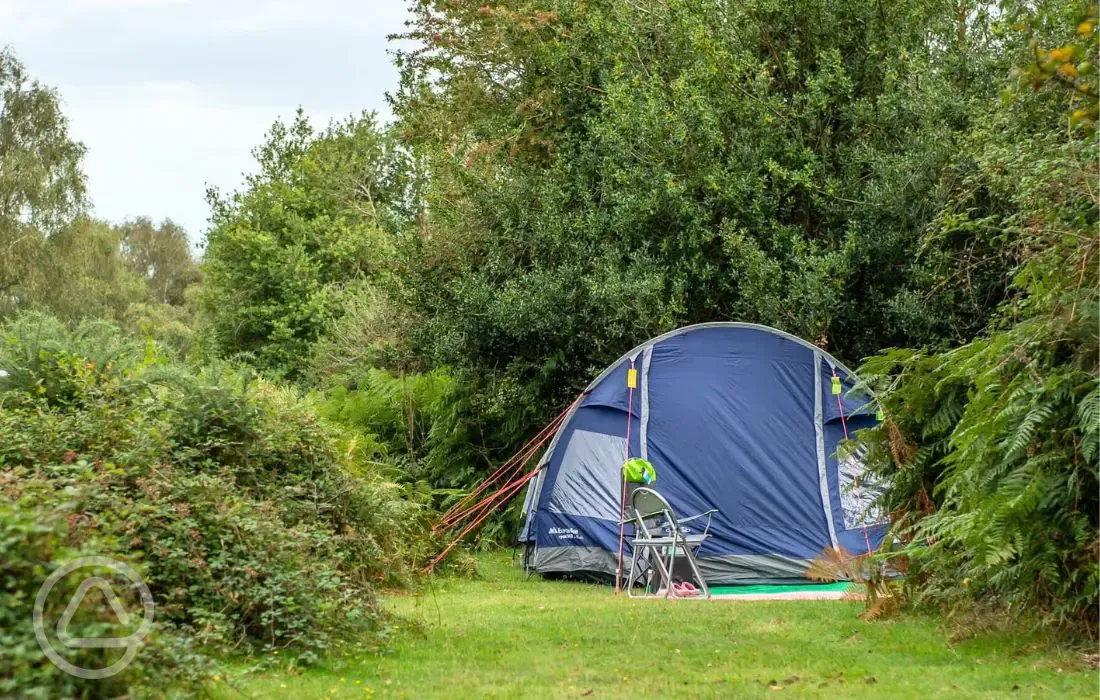 Non electric grass pitches