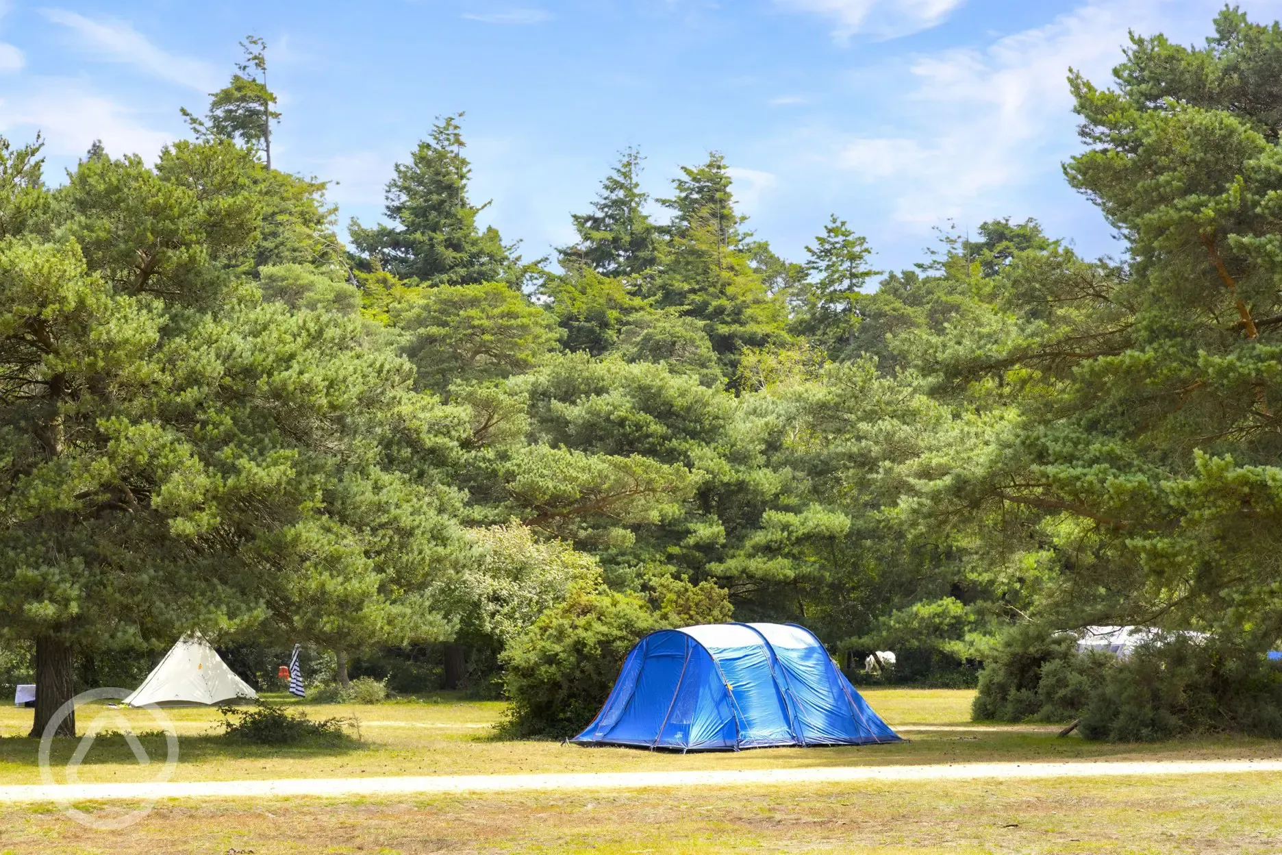 Non electric grass pitches with shady spots under the trees available