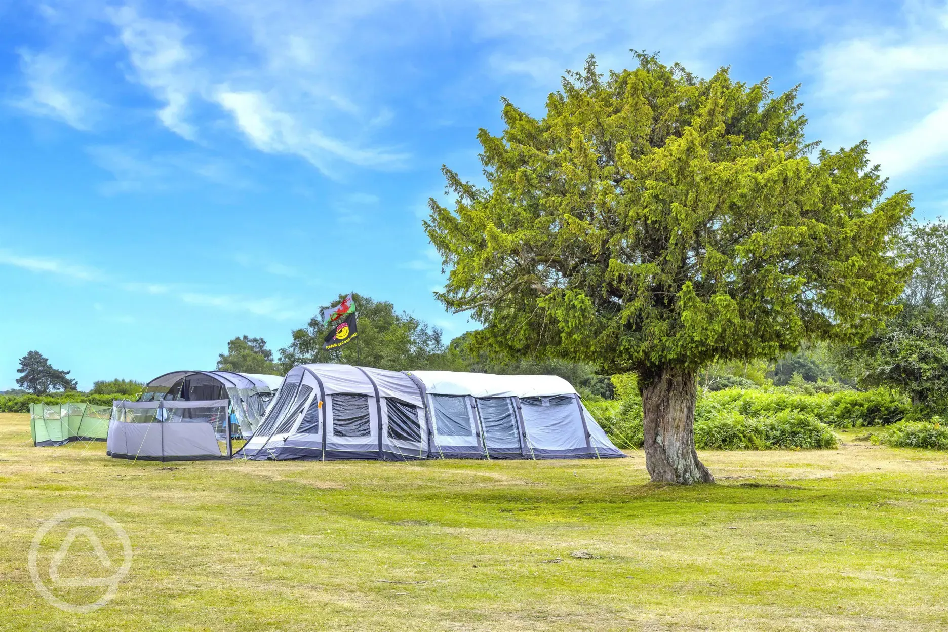 Non electric grass pitches (at least 6m left between pitches)