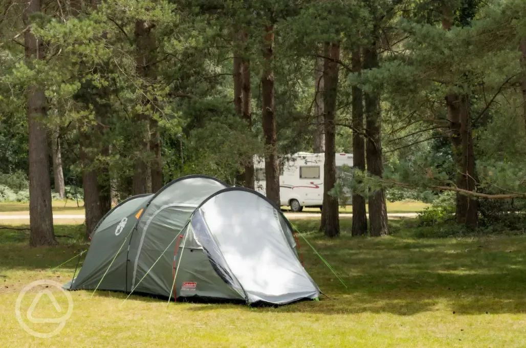 Non electric grass pitches with shady spots under the trees available