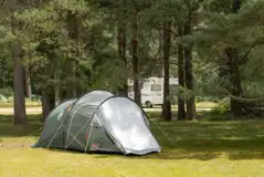 Non electric grass pitches with shady spots under the trees available Non electric grass pitches with shady spots under the trees available