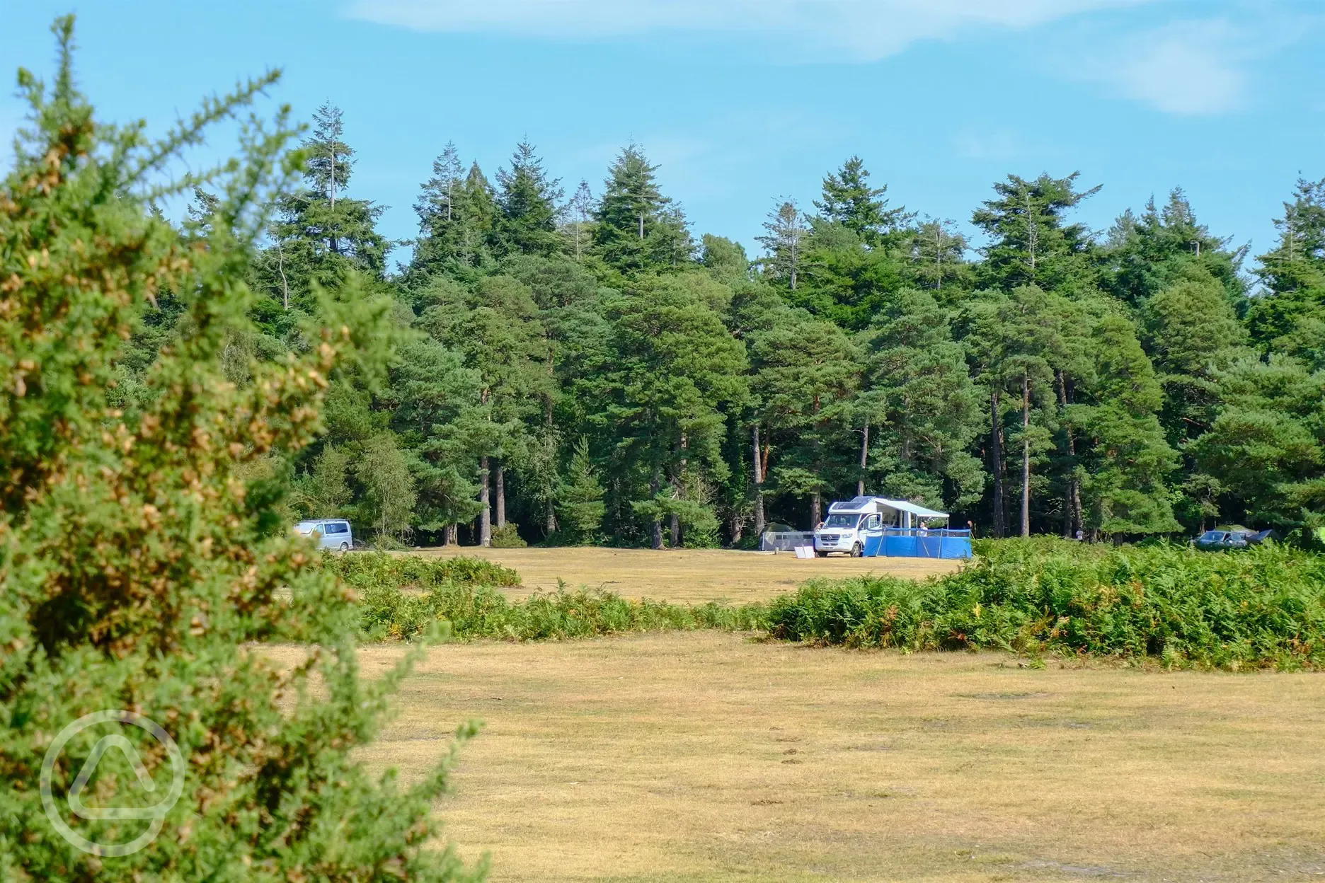 Non electric grass pitches (at least 6m left between pitches)