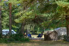 Non electric grass pitches with shady spots under the trees available Non electric grass pitches with shady spots under the trees available