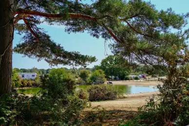 Roundhill Campsite