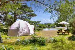 Roundhill Campsite, Brockenhurst, Hampshire (8 miles)