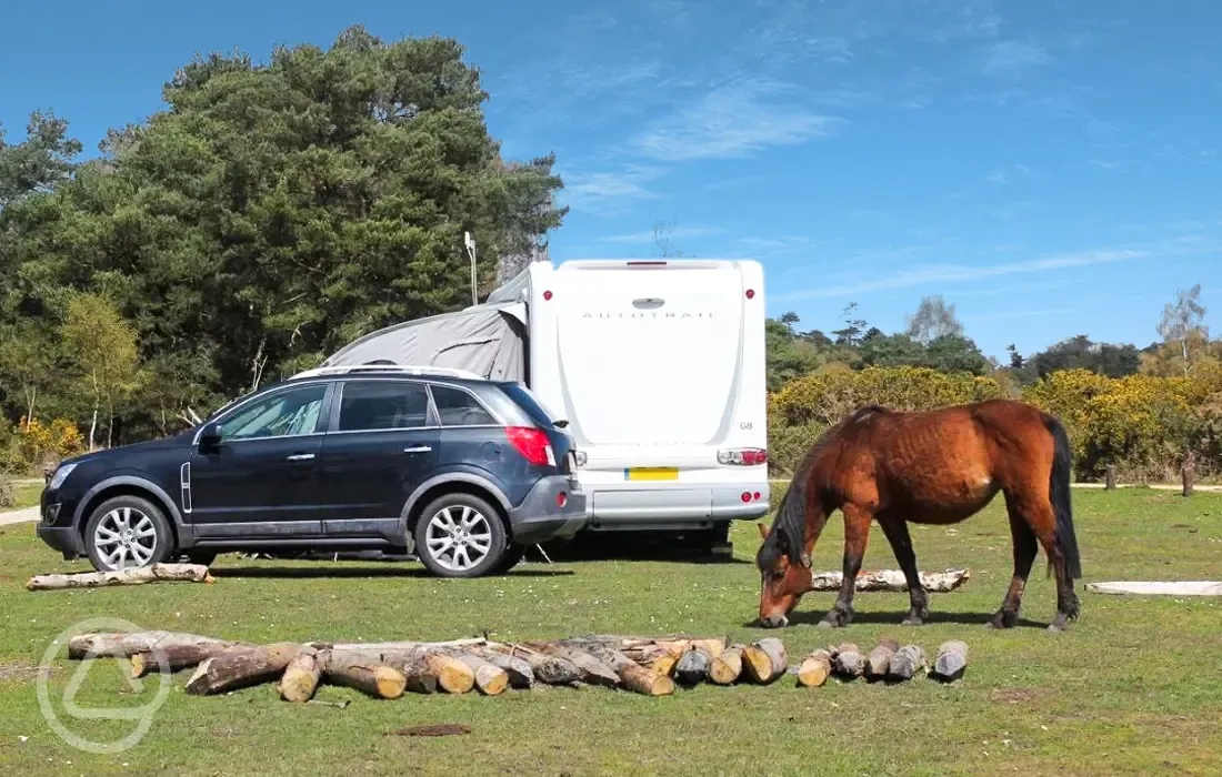 Non electric grass pitches and visiting horses