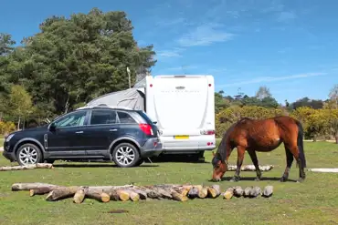 Non electric grass pitches and visiting horses