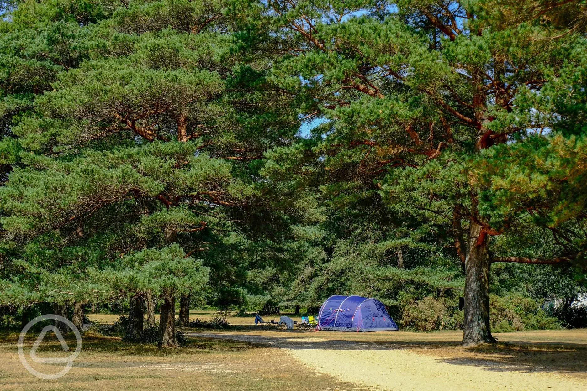 Non electric grass pitches with shady spots under the trees available