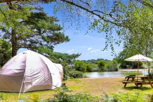Roundhill Campsite, Brockenhurst, Hampshire