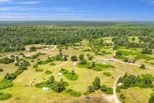 Roundhill Campsite, Brockenhurst, Hampshire (8.4 miles)