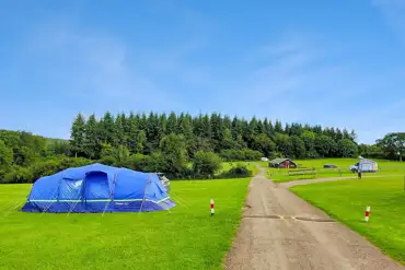 Grass tent pitch at Bracelands Campsite