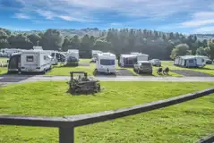 Electric hardstanding pitches surrounded by trees