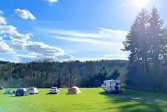 Non electric grass pitches surrounded by trees at Bracelands Campsite