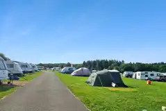 Grass pitches for tents, roof tents and tourers