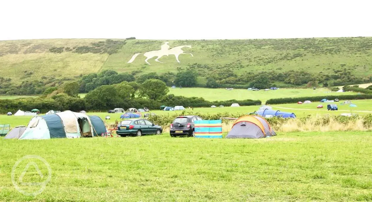 White Horse Campsite tent pitches