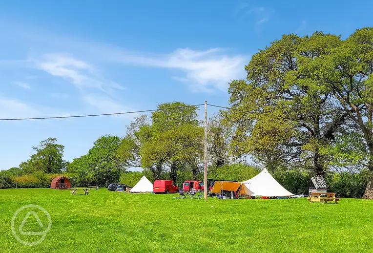 Overview of the grass pitches and camping pods at Pitch and Canvas