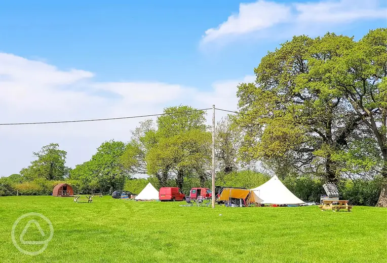 Overview of the grass pitches and camping pods at Pitch and Canvas