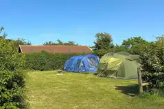 Electric grass pitches Electric grass pitches