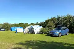 Electric grass pitches Electric grass pitches