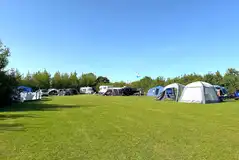 Electric grass pitches with 6 amp hook up at The Croft Campsite Electric grass pitches with 6 amp hook up at The Croft Campsite