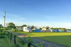 Electric grass pitches Electric grass pitches