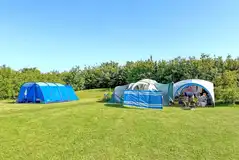 Electric grass pitches with 6 amp hook up (11m x 11m) Electric grass pitches with 6 amp hook up (11m x 11m)
