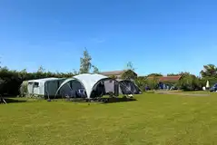 Electric grass pitches Electric grass pitches