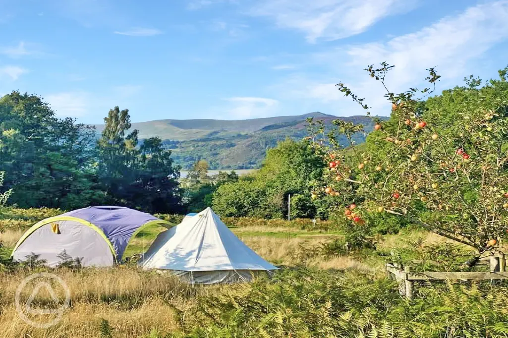 Lower tent camping field