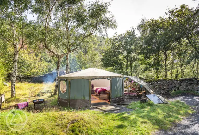 Tommy pop up yurt