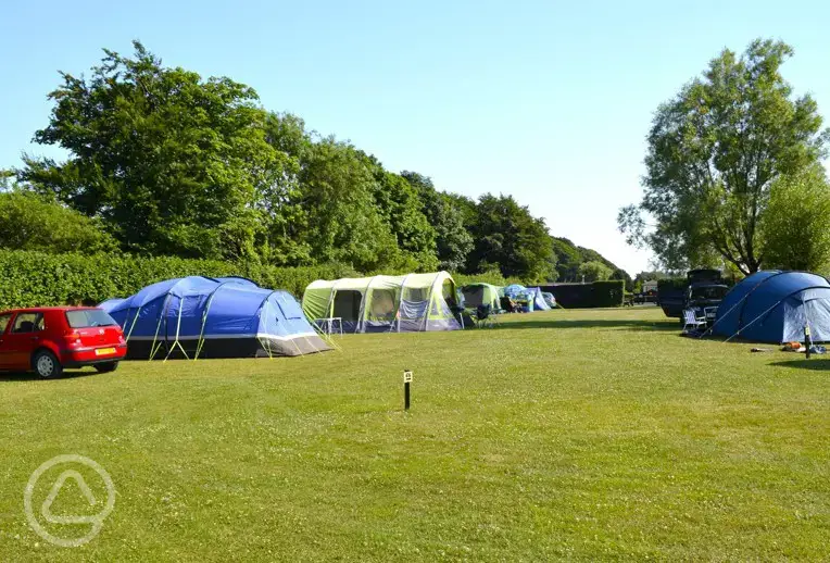 Grass pitches