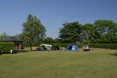 Grass pitches