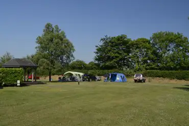 Grass pitches
