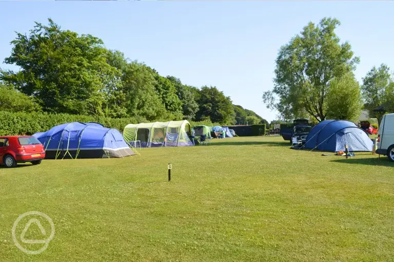 Camping Caradon Touring Park grass pitches with the option of electric