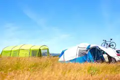 Moor View non electric grass pitches Moor View non electric grass pitches