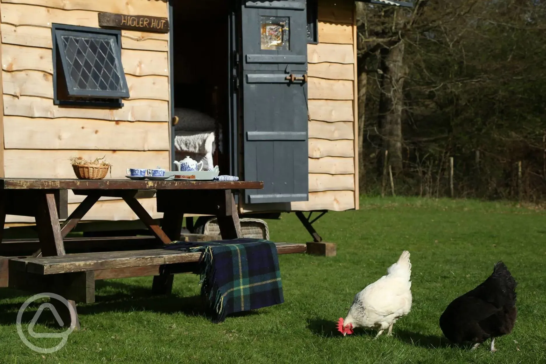 Farm animals by the Higler Hut