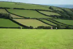 Grass area for children to play