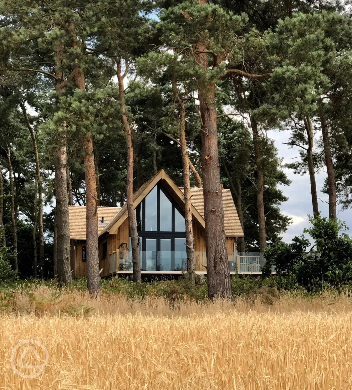 Luxury Woodland Lodge Treehouse Norfolk 
