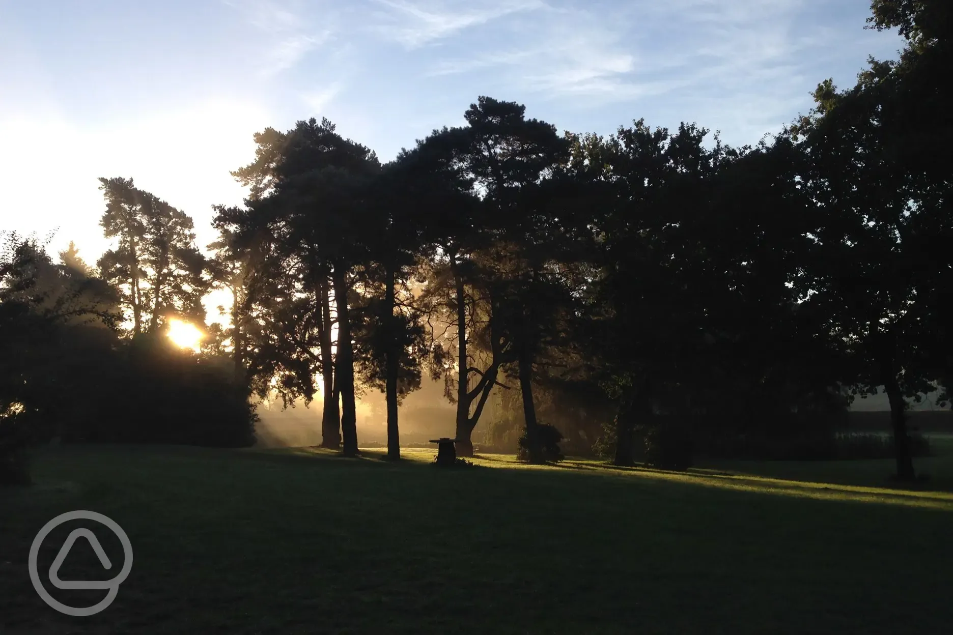 Tree Magic at Happy Valley Norfolk