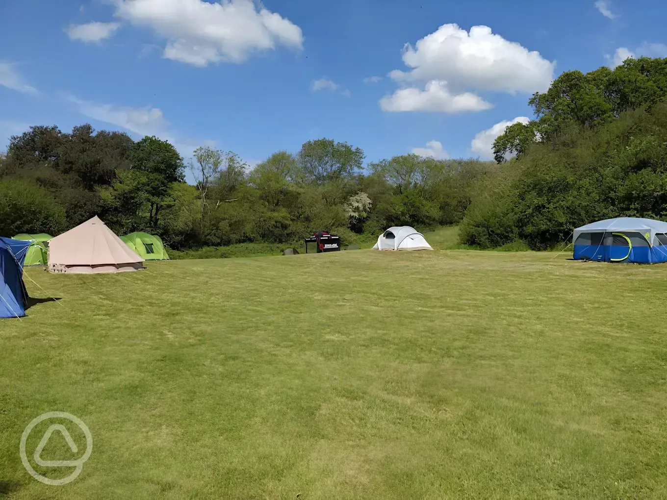 Grass pitches