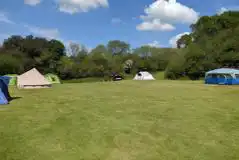 Grass pitches Grass pitches