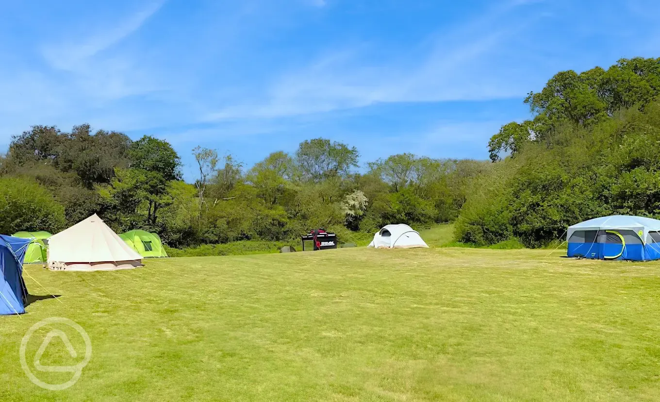 Non electric grass pitches