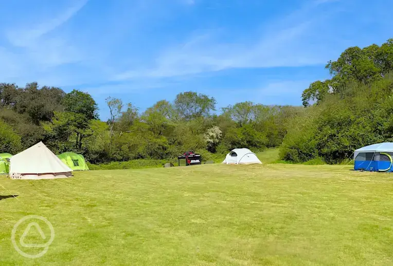 Non electric grass pitches